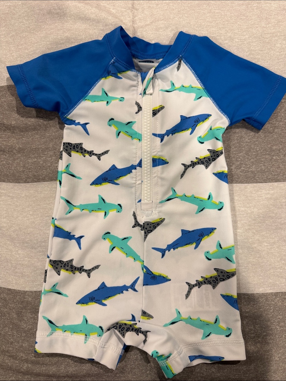 Toddler Blue Shark Print Rash Guard Swimsuit
